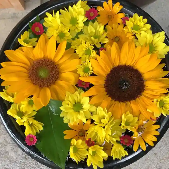 菅生神社の手水舎