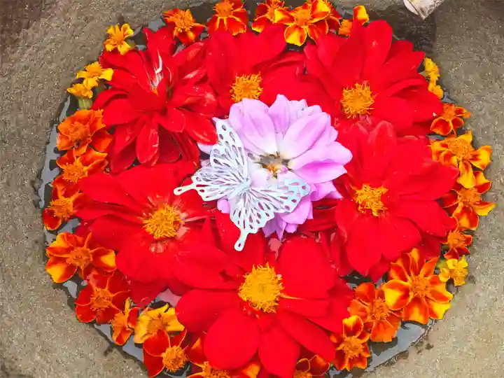 真言宗 善通寺派 薬王寺(香川県)