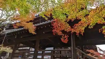 真正極楽寺(真如堂)(京都府)