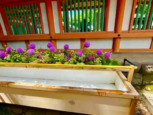 武蔵一宮氷川神社(埼玉県)