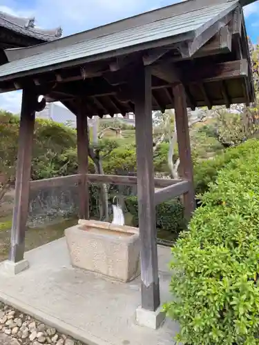 法雲寺の手水