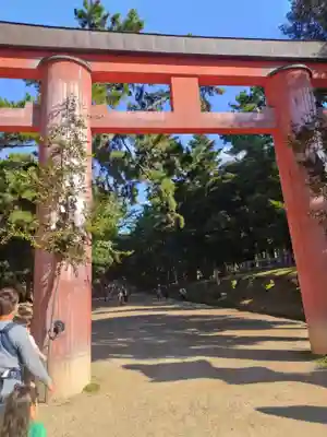 春日大社(奈良県)