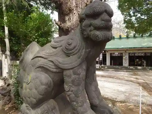 駒込天祖神社の狛犬