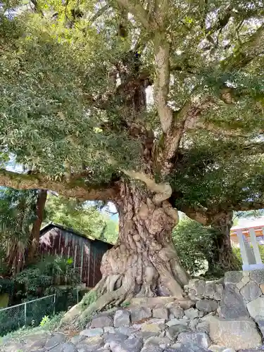 筑波山大御堂(茨城県)