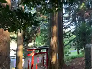 大宮温泉神社(栃木県)(2023年05月05日(金) 07時24分46秒投稿)