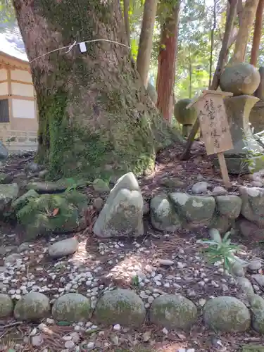 九木神社(三重県)