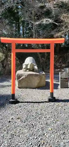 亀岡八幡宮の狛犬