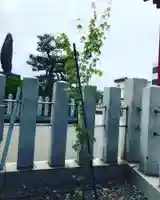 總社 和田八幡宮(福井県)