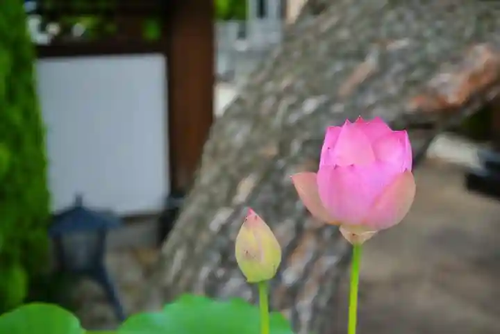 法源寺(山梨県)