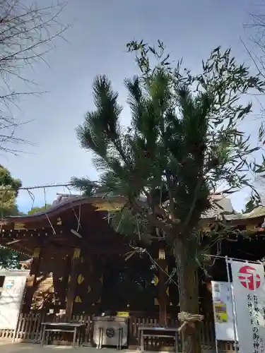 渋谷氷川神社の本殿・本堂