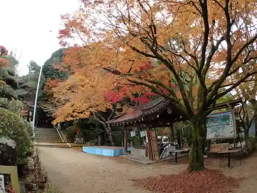 等彌神社の庭園