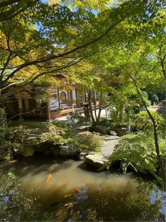崇禅寺(群馬県)