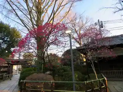 森巌寺のその他建物