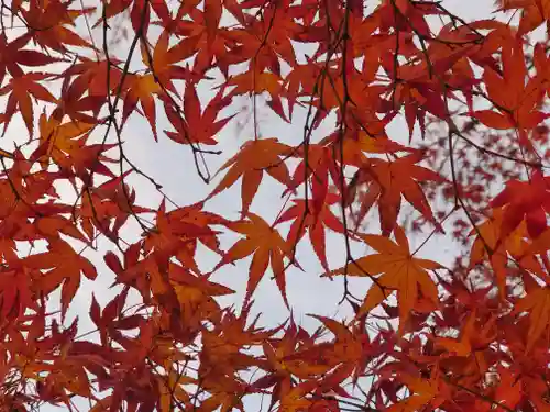 根岸弁財天(神奈川県)