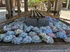 射水神社(富山県)