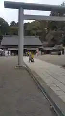 常磐神社の鳥居