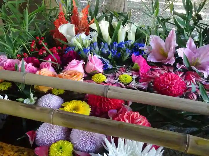世田谷八幡宮の手水舎
