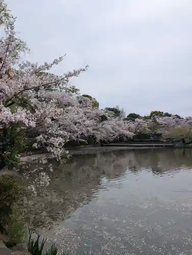 旗上弁財天社の御朱印