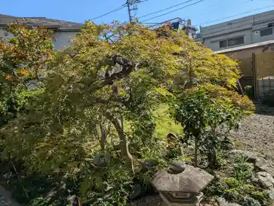 源信寺(東京都)