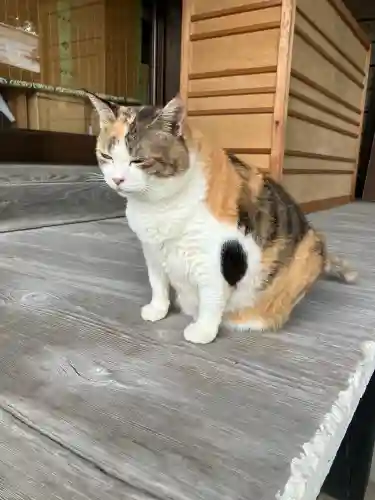 賀茂別雷神社(栃木県)