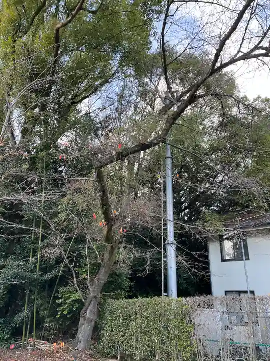 石清水八幡宮(京都府)