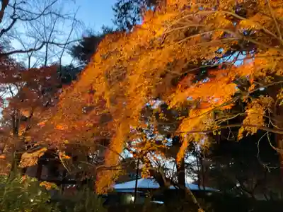 東漸寺(千葉県)