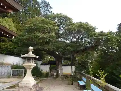 鶴崎神社(岡山県)