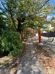 竹中稲荷神社（吉田神社末社）(京都府)