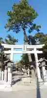 菊田神社の鳥居