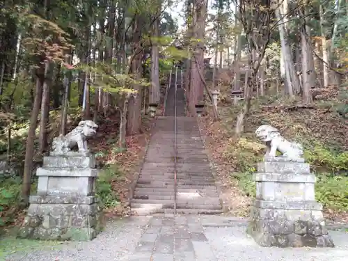 戸隠神社宝光社の狛犬