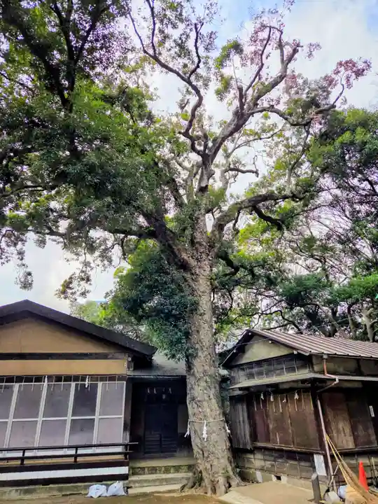 上野毛稲荷神社(東京都)