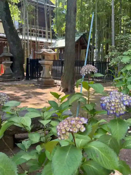鳩森八幡神社の{uncategorized: "未分類", other: "その他", undefined: "問題あり", building: "その他建物", grave: "お墓", sacred_gate: "鳥居", guardian: "狛犬", statue: "像", buddha: "仏像", history: "歴史", nature: "自然", garden: "庭園", animal: "動物", pagoda: "塔", temizu: "手水舎", mountain_gate: "山門・神門", sanctuary: "本殿・本堂", subordinate: "末社・摂社", art: "芸術", scenery: "景色", jizo: "地蔵", ema: "絵馬", goshuin: "御朱印", omikuji: "おみくじ", items: "授与品その他", amulet: "お守り", goshuincho: "御朱印帳", eats: "食事", festival: "お祭り", votive_dance: "神楽", shichigosan: "七五三参", wedding: "結婚式", experience: "体験その他", initially: "初詣", around: "周辺", anti_infection: "感染症対策"}