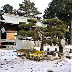 三春大神宮の庭園