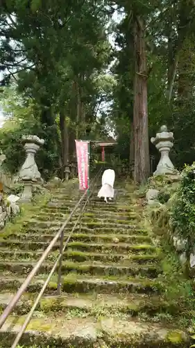 摩尼寺の建物その他