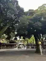 明治神宮(東京都)