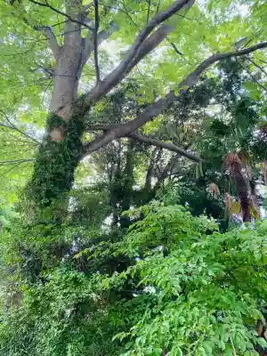 鹿嶋神社(茨城県)