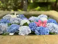 八幡神社の手水舎