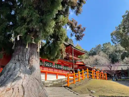 春日大社(奈良県)