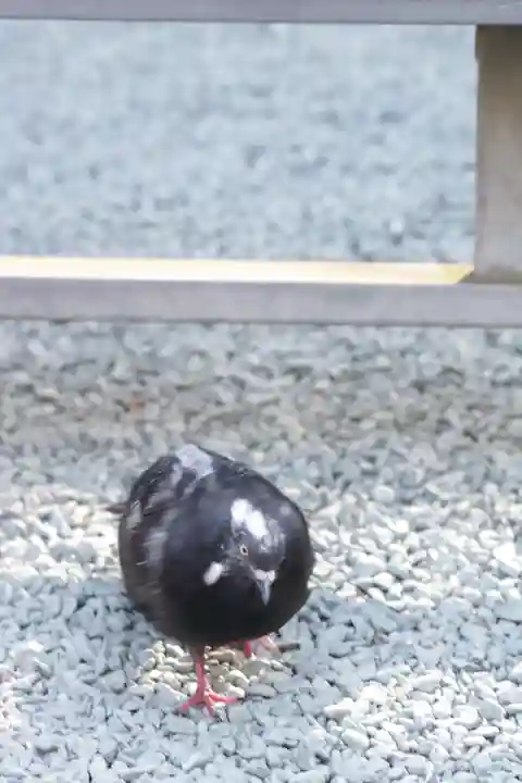 金王八幡宮(東京都)