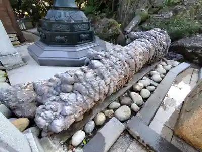 金剛福寺(高知県)