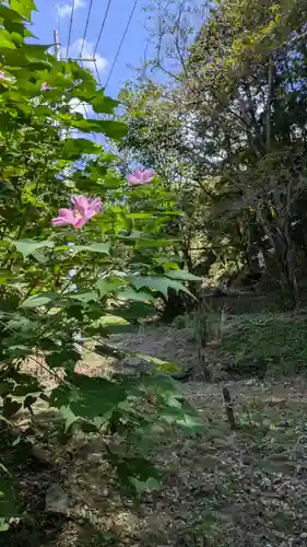 本照寺(京都府)