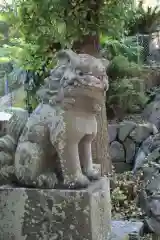 愛宕神社の狛犬