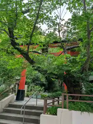 産湯稲荷神社の{uncategorized: "未分類", other: "その他", undefined: "問題あり", building: "その他建物", grave: "お墓", sacred_gate: "鳥居", guardian: "狛犬", statue: "像", buddha: "仏像", history: "歴史", nature: "自然", garden: "庭園", animal: "動物", pagoda: "塔", temizu: "手水舎", mountain_gate: "山門・神門", sanctuary: "本殿・本堂", subordinate: "末社・摂社", art: "芸術", scenery: "景色", jizo: "地蔵", ema: "絵馬", goshuin: "御朱印", omikuji: "おみくじ", items: "授与品その他", amulet: "お守り", goshuincho: "御朱印帳", eats: "食事", festival: "お祭り", votive_dance: "神楽", shichigosan: "七五三参", wedding: "結婚式", experience: "体験その他", initially: "初詣", around: "周辺", anti_infection: "感染症対策"}