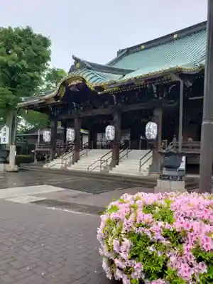 妙法寺(東京都)
