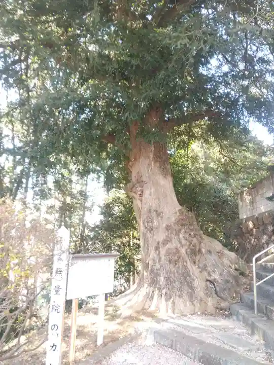無量院(蓮華寺)(栃木県)