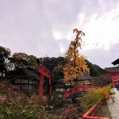 賀茂御祖神社（下鴨神社）のその他建物