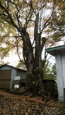 綴子神社(秋田県)