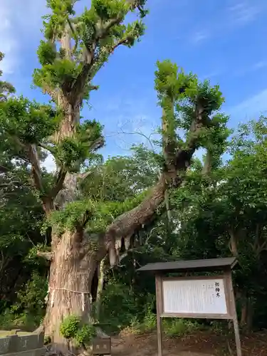 鎌数伊勢大神宮(千葉県)