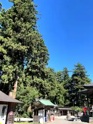 蒼柴神社(新潟県)