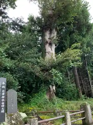近津神社の自然